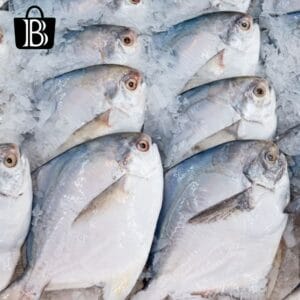 rupchanda fish price