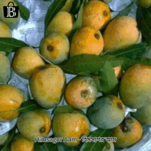 Himsagor Aam হিমসাগর আম