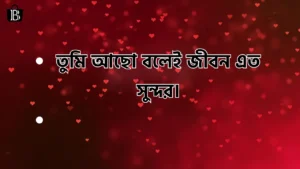 রোমান্টিক প্রোফাইল ক্যাপশন ২০২৫